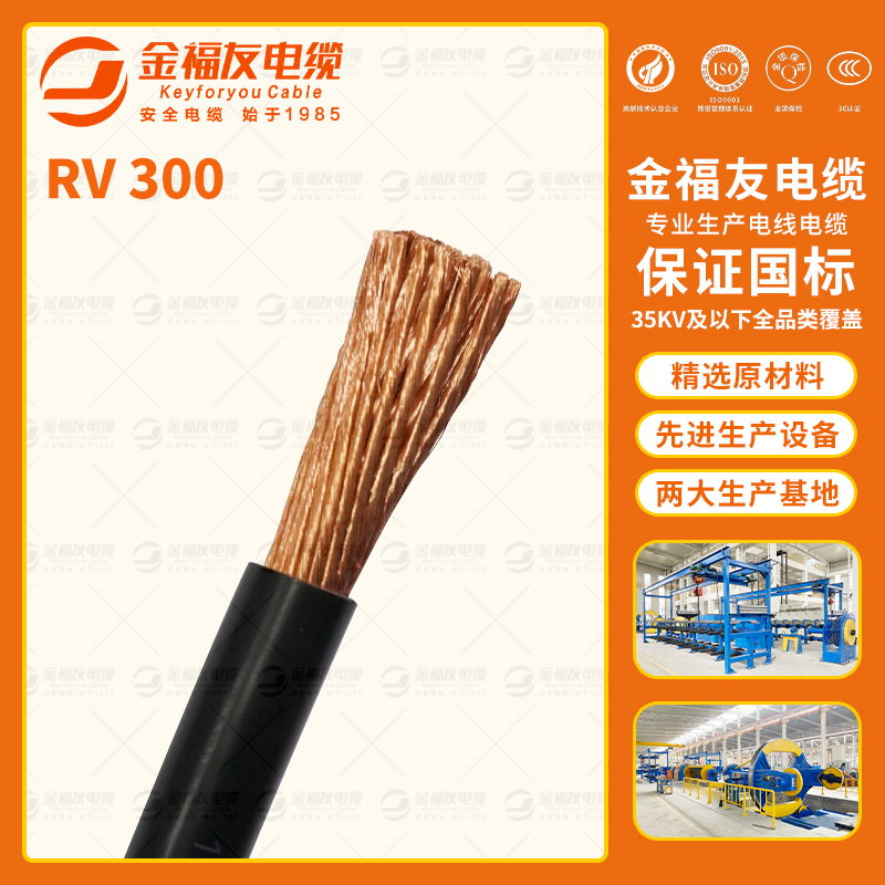金福友產品-8.20-RV-300