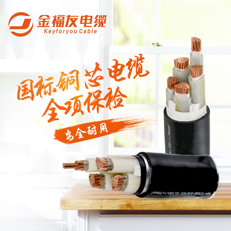 金福友國標銅芯電纜，全項保檢