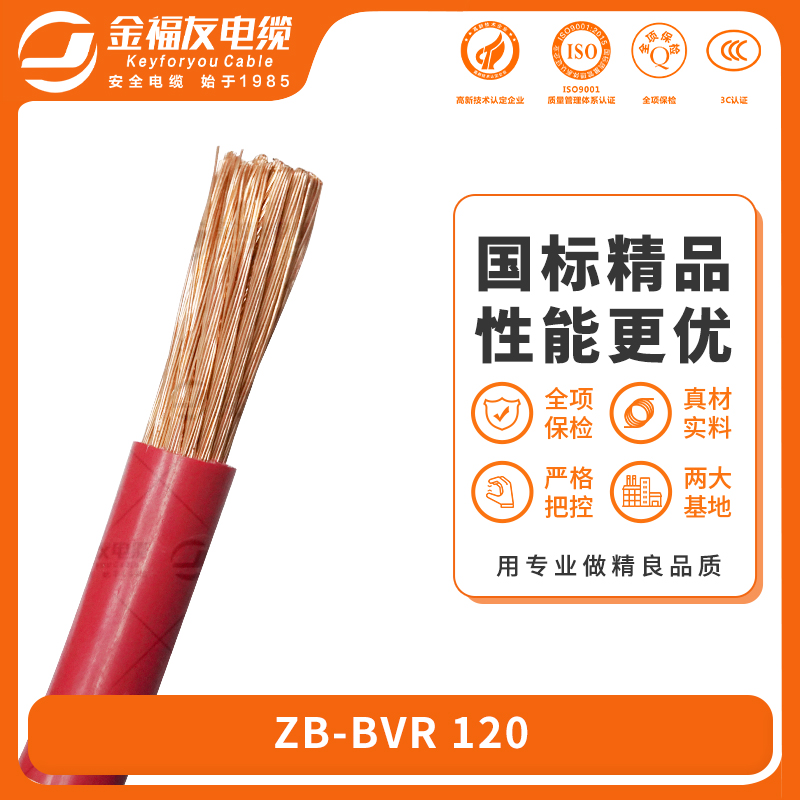 金福友產品-6.24-ZB-BVR-120