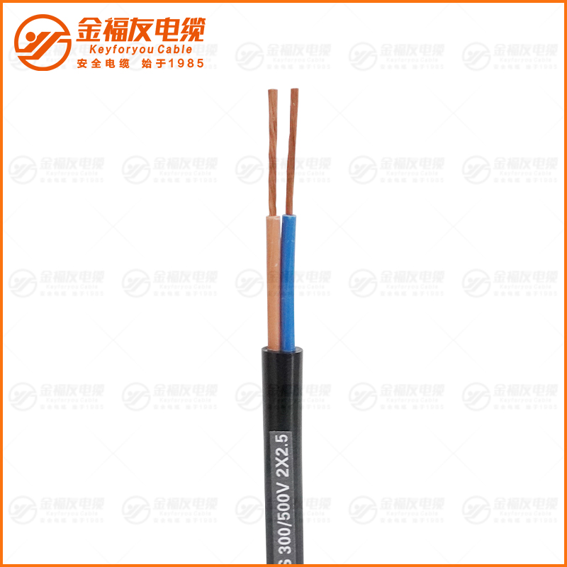 JHS防水橡套電纜 300-500V 2X2.5 JHS防水橡套電纜 300-500V 2X2.5