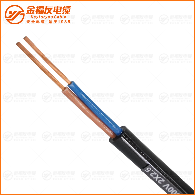 JHS防水橡套電纜 300-500V 2X2.5 JHS防水橡套電纜 300-500V 2X2.5