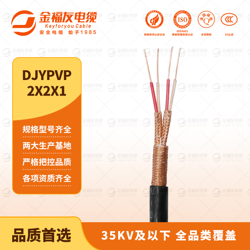 金福友產品-9.10-DJYPVP-2X2X1