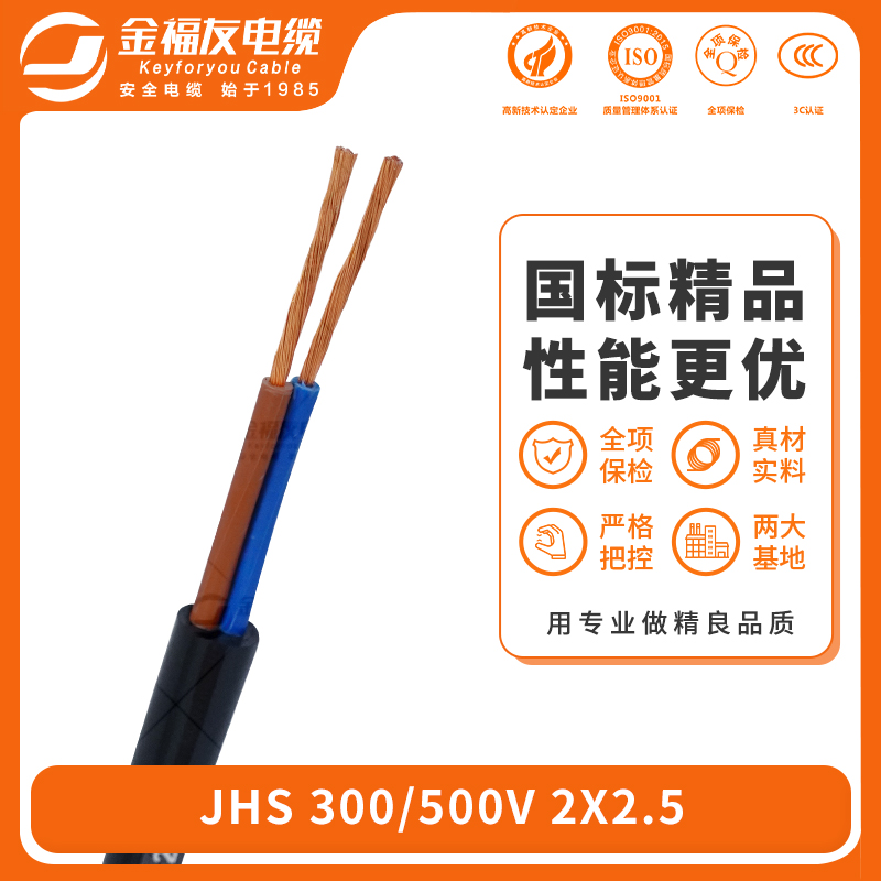 金福友產品-6.17-JHS-300-500V-2X2.5