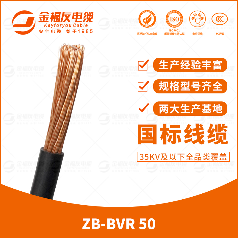金福友產品-7.17-ZB-BVR-50